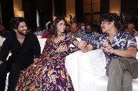 Sita Ramam Blockbuster Success Meet